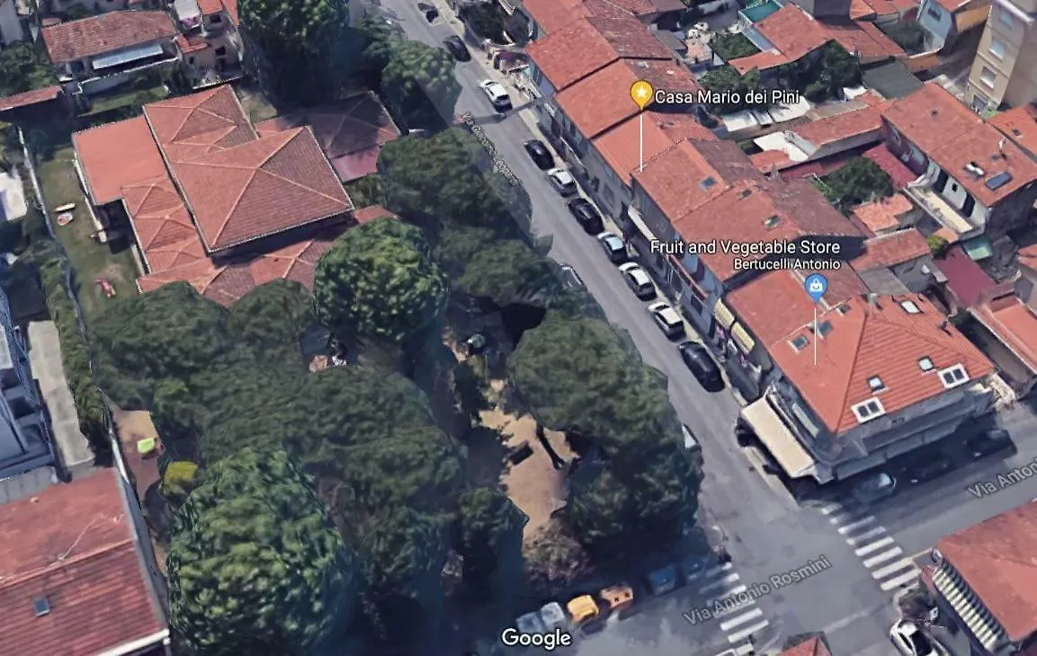 Casa Mario Dei Pini Villa Viareggio 0*,
