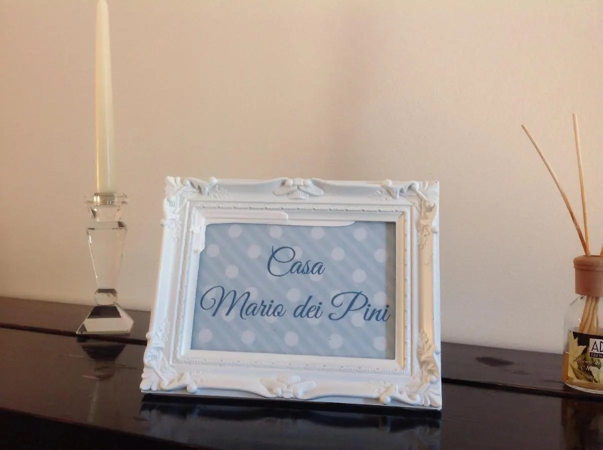 Casa Mario Dei Pini Villa Viareggio 0*,